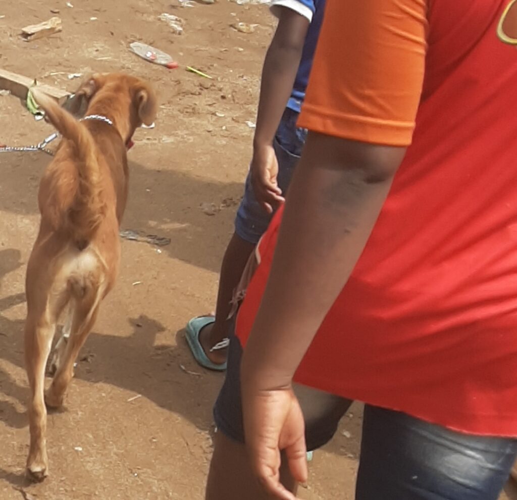 Article : L&rsquo;idée affreuse d&rsquo;une bande de gamins